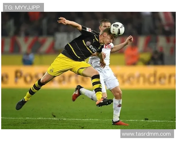 沙尔克与沃尔夫在2017年的精彩对决回顾与分析